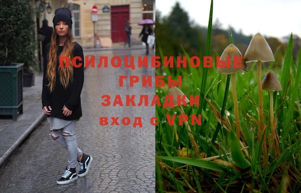 тгк Слюдянка
