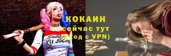 тгк Слюдянка