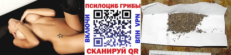 сколько стоит ссылка на мегу как войти Галлюциногенные грибы прущие грибы Омск